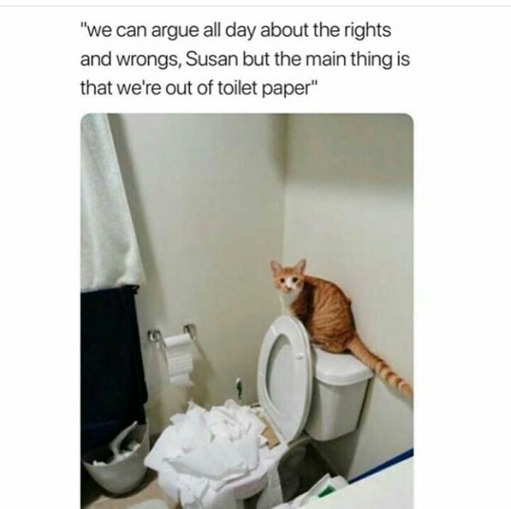 cat toilet paper meme - "we can argue all day about the rights and wrongs, Susan but the main thing is that we're out of toilet paper"