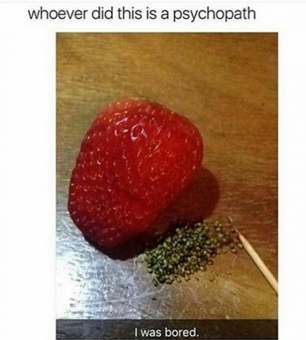 pins in strawberries meme - whoever did this is a psychopath I was bored.