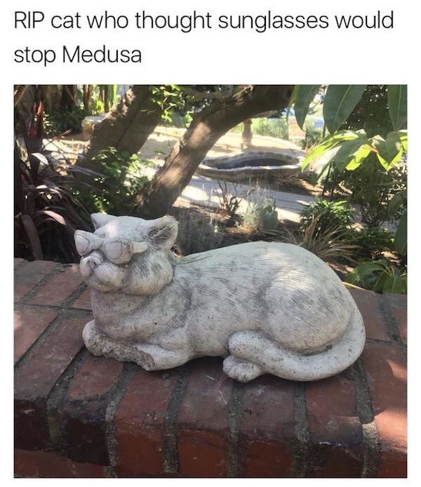 rip cat - Rip cat who thought sunglasses would stop Medusa