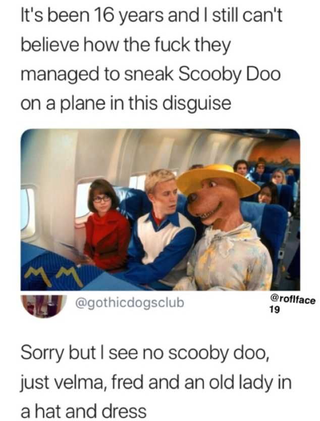 freddie prinze jr scooby doo - It's been 16 years and I still can't believe how the fuck they managed to sneak Scooby Doo on a plane in this disguise 19 Sorry but I see no scooby doo, just velma, fred and an old lady in a hat and dress