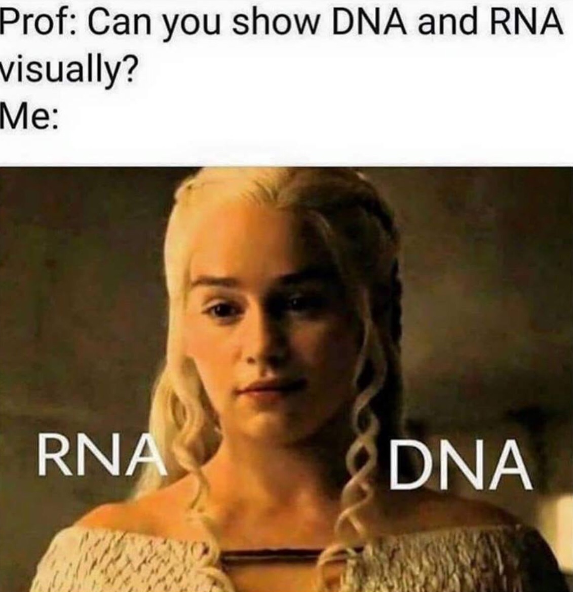 rna dna meme - Prof Can you show Dna and Rna visually? Me Rna Dna