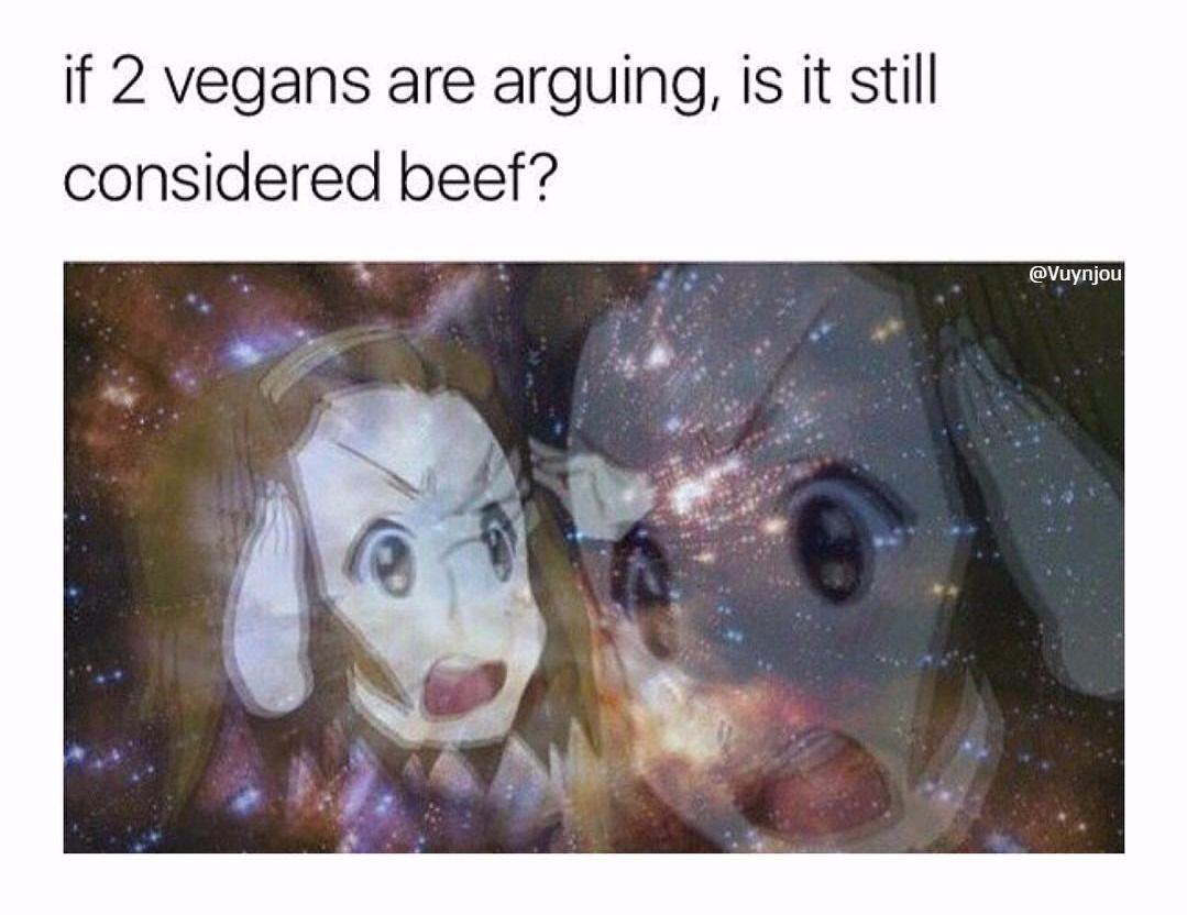 bricks are just domesticated rocks meme - if 2 vegans are arguing, is it still considered beef?