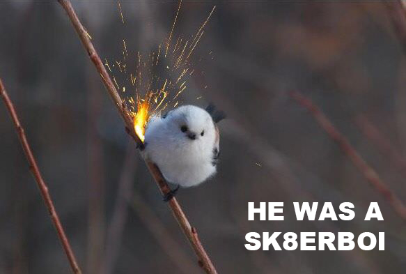 beak - He Was A SK8ERBOI