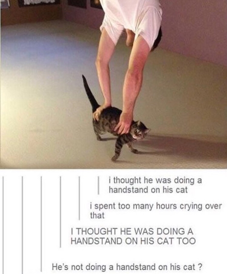 handstand cat - i thought he was doing a handstand on his cat i spent too many hours crying over that I Thought He Was Doing A Handstand On His Cat Too He's not doing a handstand on his cat?