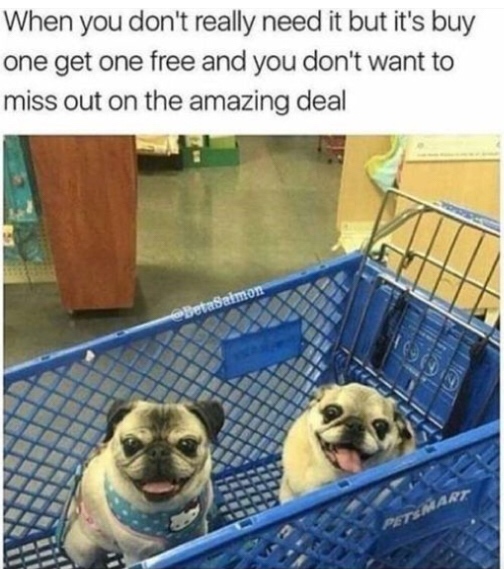 shopping funny - When you don't really need it but it's buy one get one free and you don't want to miss out on the amazing deal