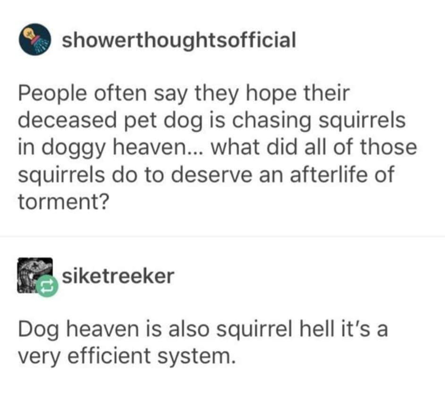 dog heaven squirrel hell - showerthoughtsofficial People often say they hope their deceased pet dog is chasing squirrels in doggy heaven... what did all of those squirrels do to deserve an afterlife of torment? siketreeker Dog heaven is also squirrel hell