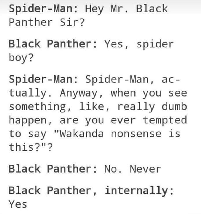 Spider-Man - SpiderMan Hey Mr. Black Panther Sir? Black Panther Yes, spider boy? SpiderMan SpiderMan, ac tually. Anyway, when you see something, , really dumb happen, are you ever tempted to say "Wakanda nonsense is this?"? Black Panther No. Never Black P