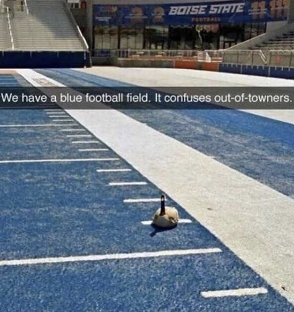 football fields meme - Boise 57HTE We have a blue football field. It confuses outoftowners.