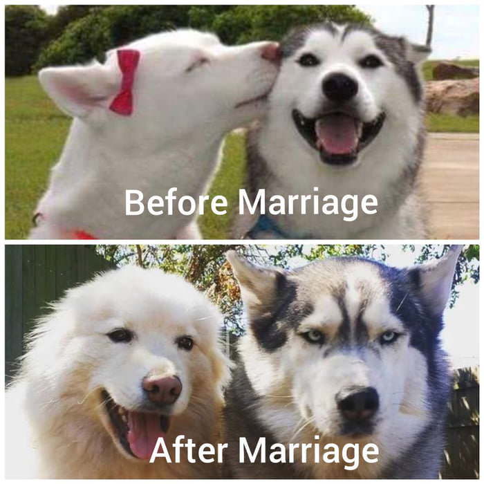 before and after marriage meme - Before Marriage After Marriage