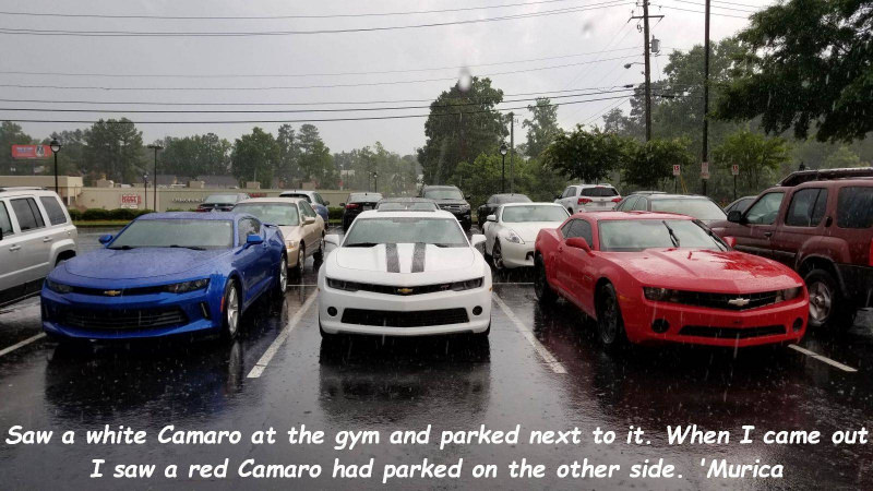 luxury vehicle - Saw a white Camaro at the gym and parked next to it. When I came out I saw a red Camaro had parked on the other side. 'Murica