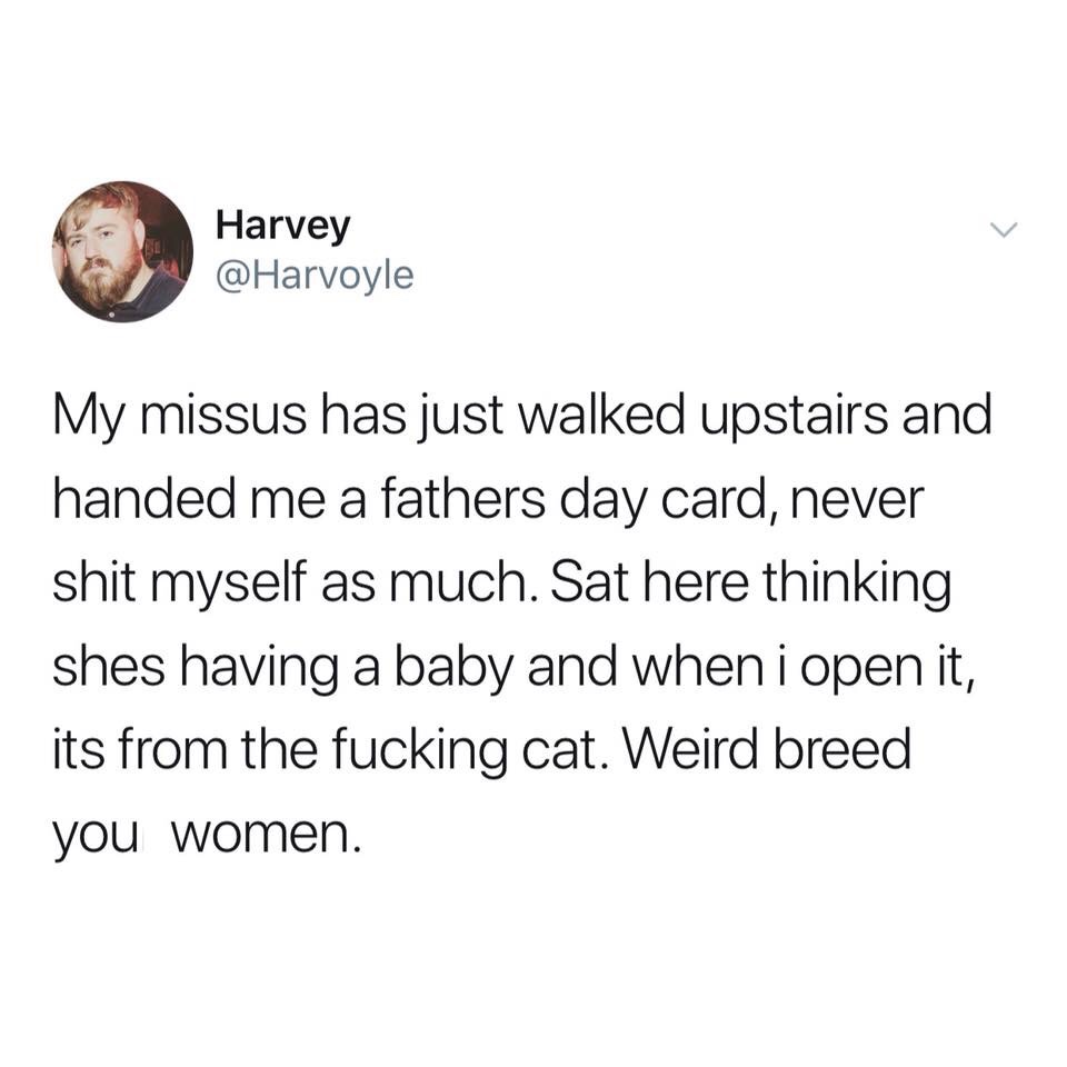 headache meme - Harvey My missus has just walked upstairs and handed me a fathers day card, never shit myself as much. Sat here thinking shes having a baby and when i open it, its from the fucking cat. Weird breed you women.