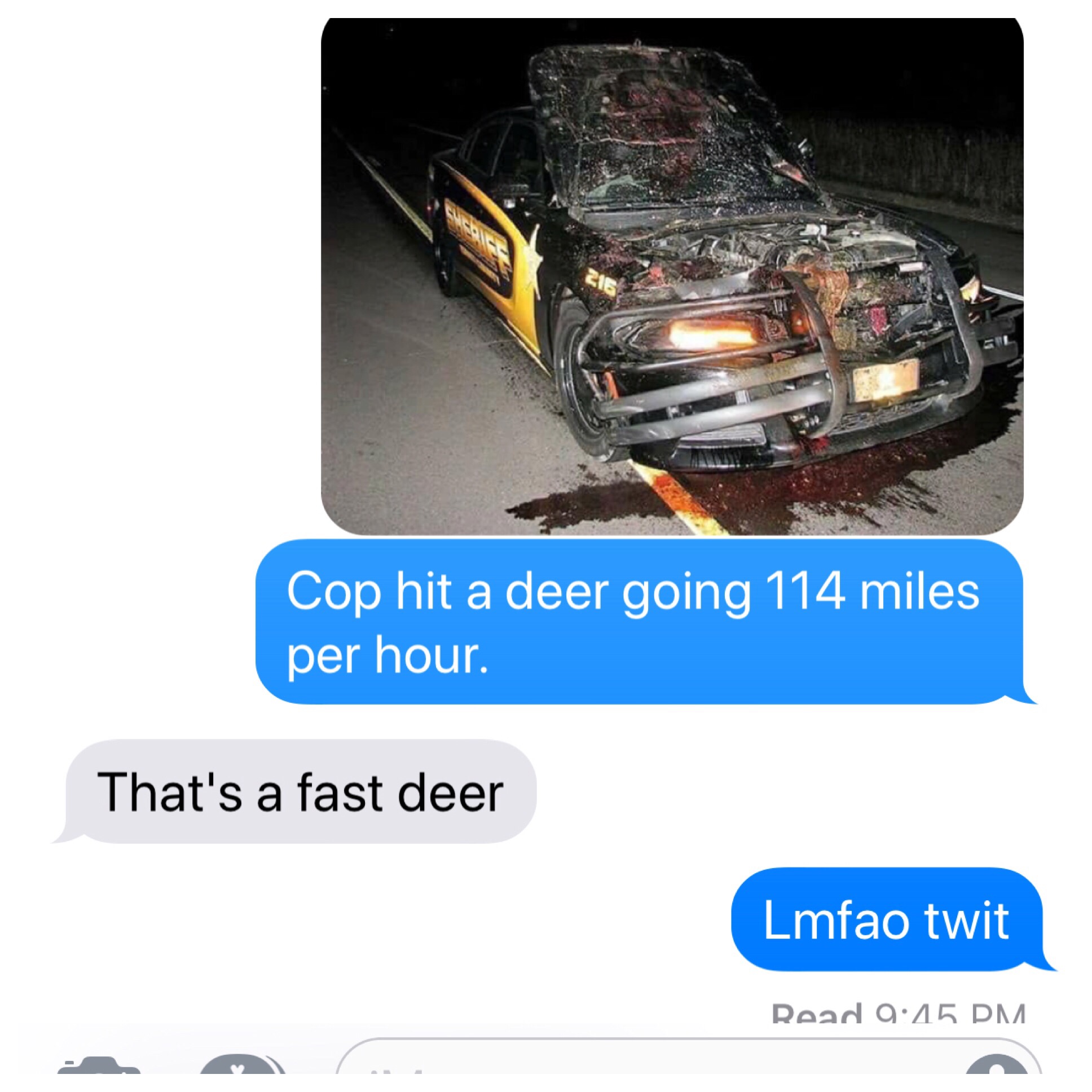 cops hits deer at 114 mph - Cop hit a deer going 114 miles per hour. That's a fast deer Lmfao twit Read