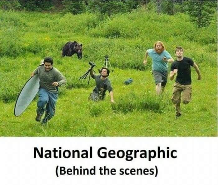 national geographic behind the scenes meme - National Geographic Behind the scenes