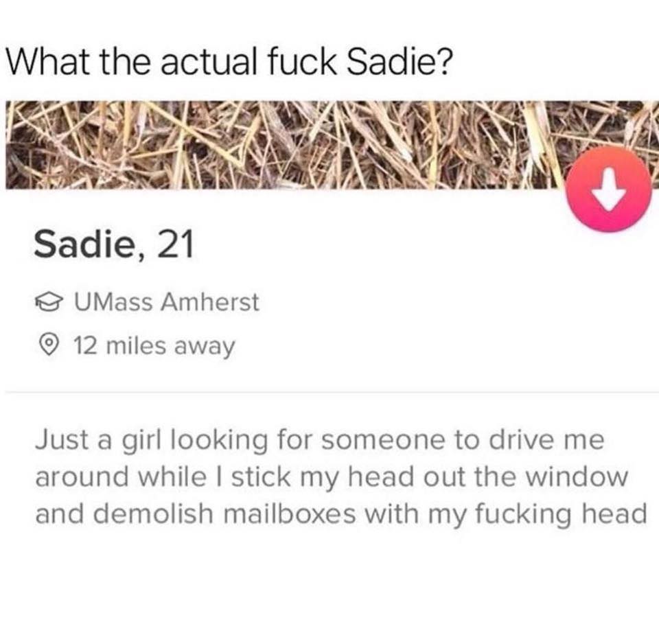 amherst can fuck itself - What the actual fuck Sadie? Sadie, 21 UMass Amherst 12 miles away Just a girl looking for someone to drive me around while I stick my head out the window and demolish mailboxes with my fucking head
