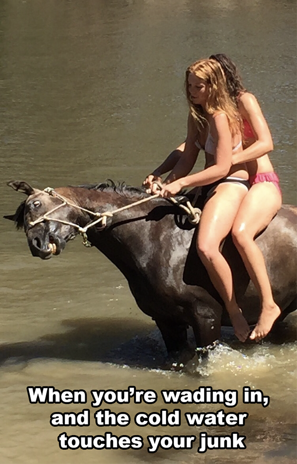 horse - When you're wading in, and the cold water touches your junk