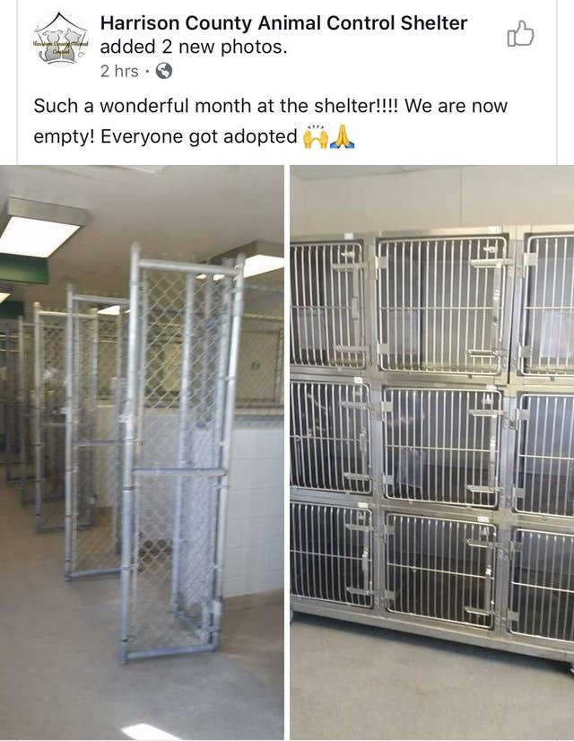 everyone got adopted - Harrison County Animal Control Shelter added 2 new photos. 2 hrs. Such a wonderful month at the shelter!!!! We are now empty! Everyone got adopted