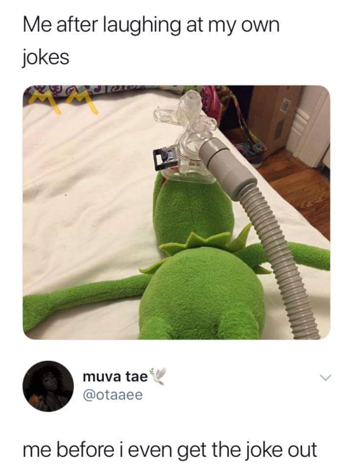 Kermit meme about laughing at your own jok
