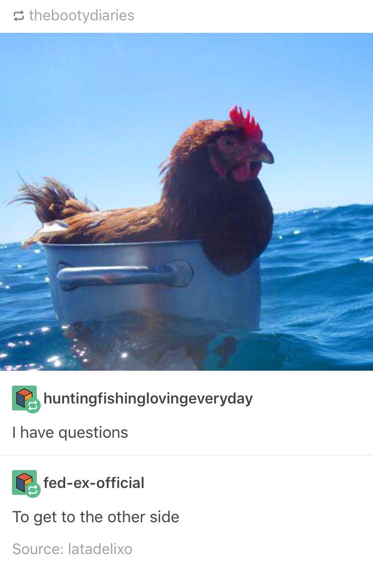 chicken floating in a pot at the sea, to get to the other side