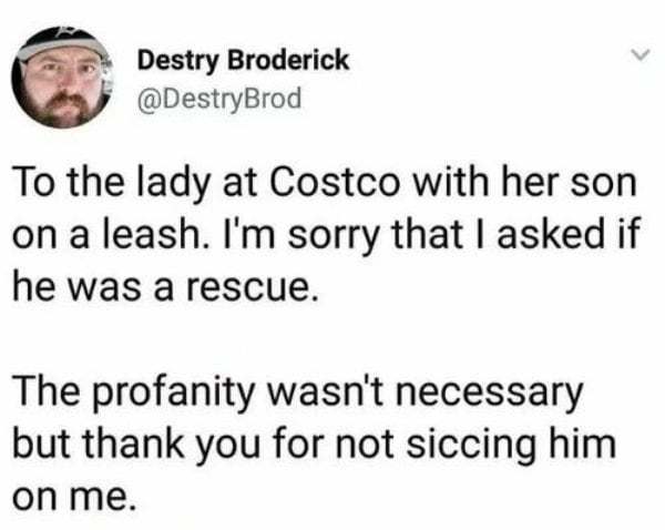 quotes about girls - Destry Broderick To the lady at Costco with her son on a leash. I'm sorry that I asked if he was a rescue. The profanity wasn't necessary but thank you for not siccing him on me.