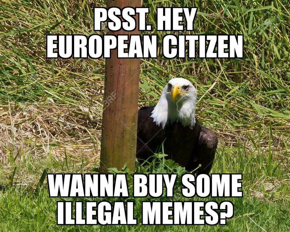 black market memes - Psst. Hey European Citizen Wanna Buy Some Illegal Memes?