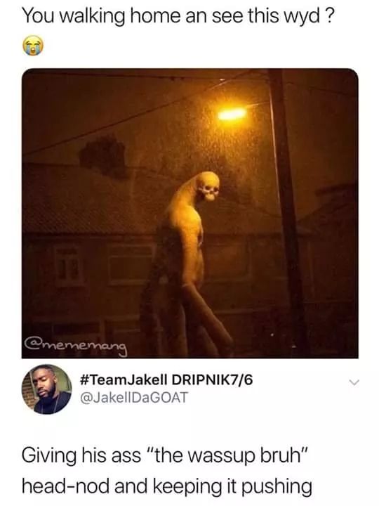 nightmare fuel meme - You walking home an see this wyd ? DRIPNIK76 Giving his ass "the wassup bruh" headnod and keeping it pushing