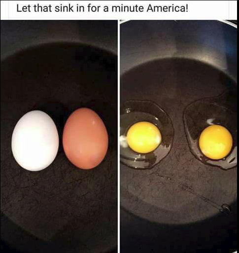 egg racism meme - Let that sink in for a minute America!