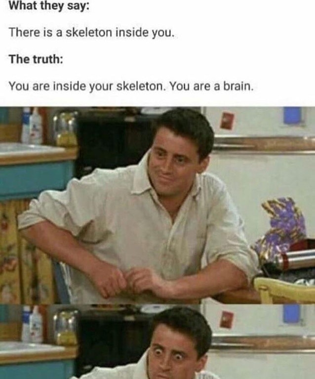 friends joey - What they say There is a skeleton inside you. The truth You are inside your skeleton. You are a brain.