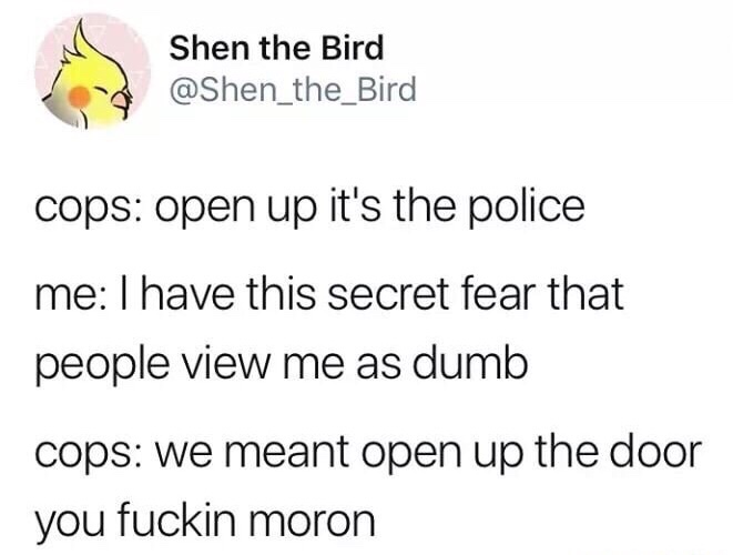 angle - Shen the Bird cops open up it's the police me I have this secret fear that people view me as dumb cops we meant open up the door you fuckin moron