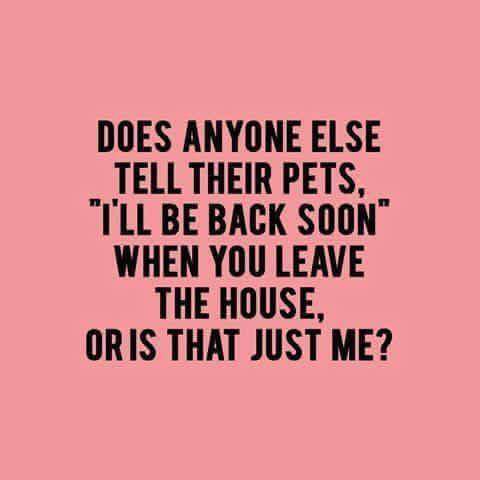 love my fur babies - Does Anyone Else Tell Their Pets, "I'Ll Be Back Soon" When You Leave The House, Or Is That Just Me?