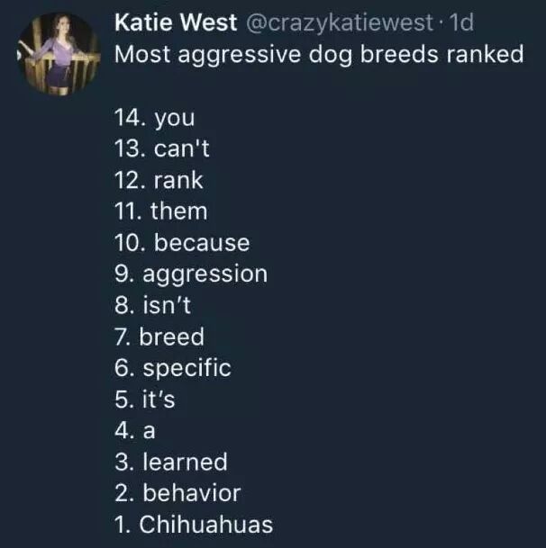 chihuahua breed memes - Katie West 1d Most aggressive dog breeds ranked 14. you 13. can't 12. rank 11. them 10. because 9. aggression 8. isn't 7. breed 6. specific 5. it's 4. a 3. learned 2. behavior 1. Chihuahuas