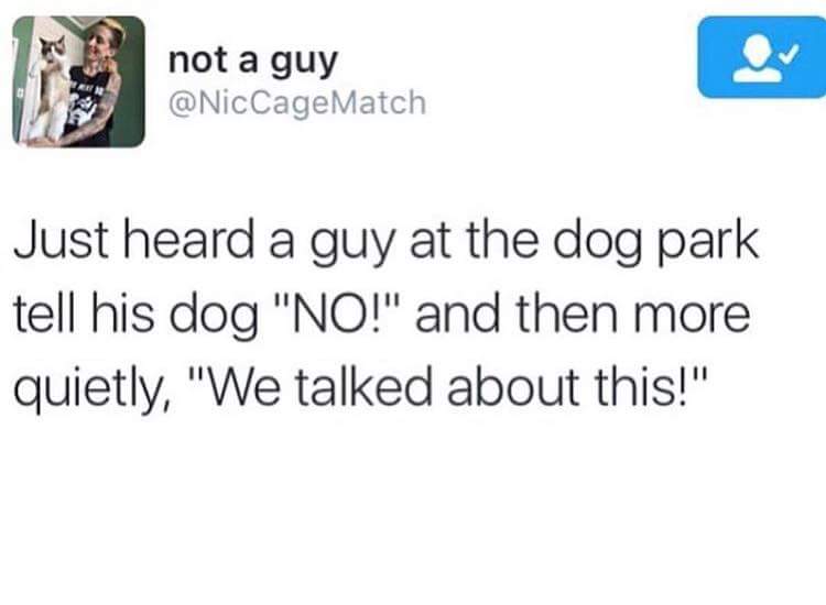document - not a guy Match Just heard a guy at the dog park tell his dog "No!" and then more quietly, "We talked about this!"