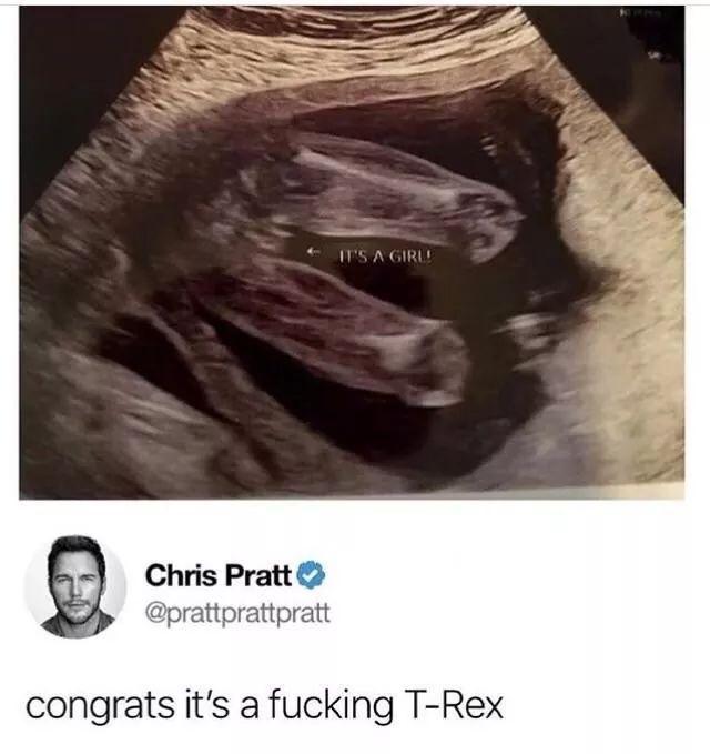 prattprattpratt memes - It'S A Girl Chris Pratt congrats it's a fucking TRex