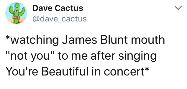 document - Dave Cactus watching James Blunt mouth "not you" to me after singing You're Beautiful in concert