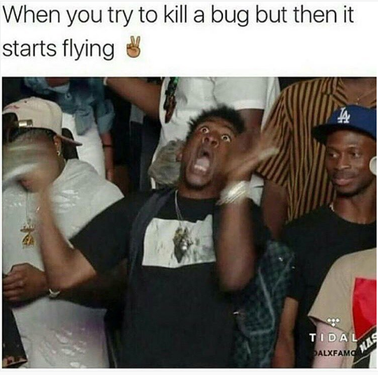 you try to kill a bug - When you try to kill a bug but then it starts flying & Tidal Palxfamo