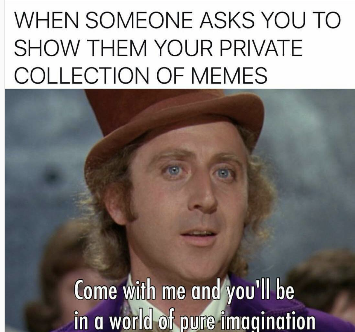 gene wilder as willy wonka - When Someone Asks You To Show Them Your Private Collection Of Memes Come with me and you'll be in a world of pure imagination
