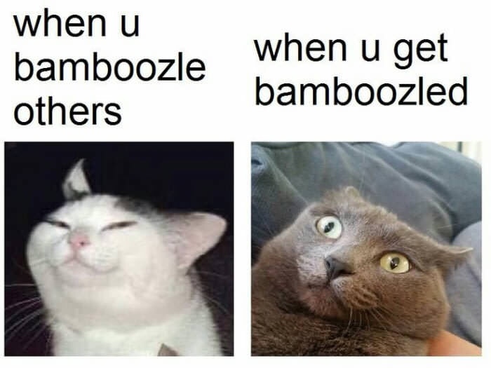 bamboozle meme - when u bamboozle others when u get bamboozled