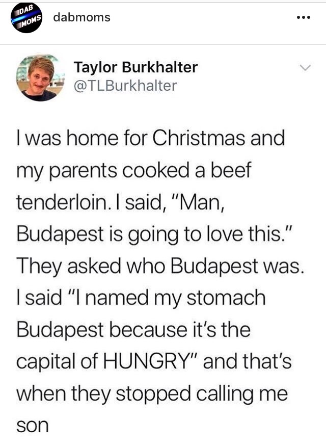 document - Ndab Goms dabmoms Taylor Burkhalter I was home for Christmas and my parents cooked a beef tenderloin. I said, "Man, Budapest is going to love this." They asked who Budapest was. I said "I named my stomach Budapest because it's the capital of Hu