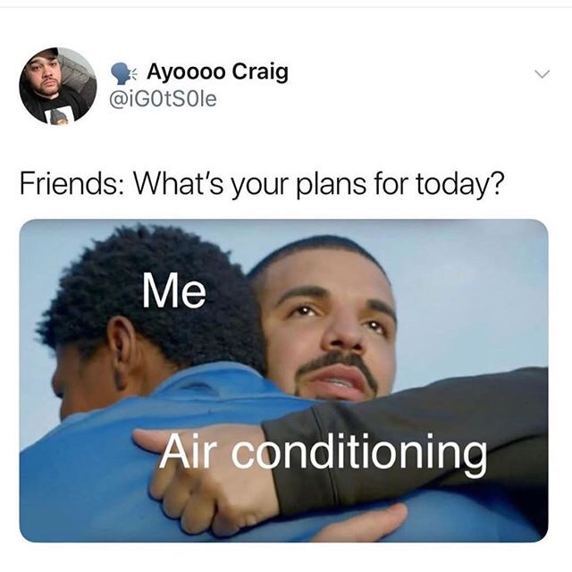 summer memes - Ayoooo Craig Friends What's your plans for today? Me Air conditioning