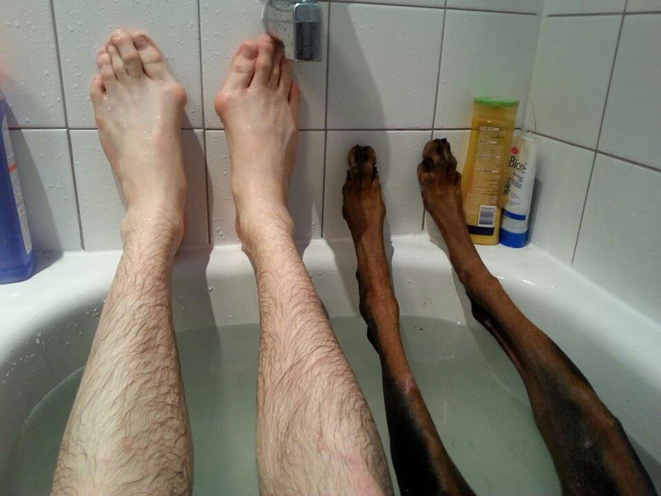 man and dog in bath - Bice