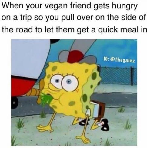 vegan friend meme - When your vegan friend gets hungry on a trip so you pull over on the side of the road to let them get a quick meal in Ig Co