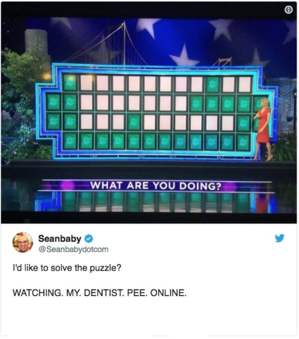 wheel of fortune - What Are You Doing? Seanbaby I'd to solve the puzzle? Watching. My. Dentist. Pee. Online.