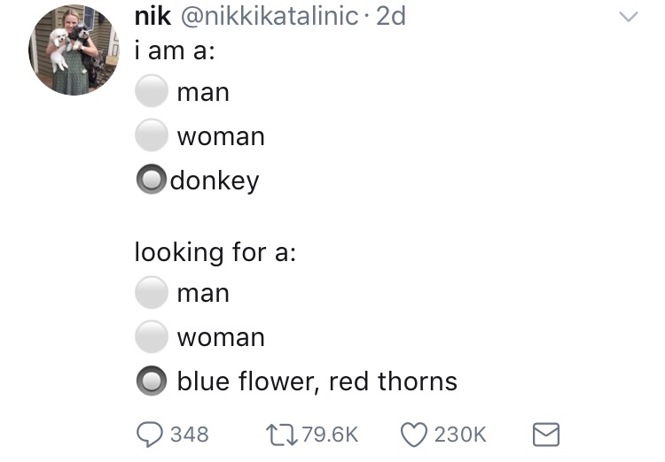 blue flower red thorns shrek meme - nik 2d i am a man woman Odonkey looking for a man woman O blue flower, red thorns 348 ~