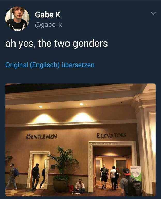 ah the two genders - Gabe K ah yes, the two genders Original Englisch bersetzen Gentlemen Elevators