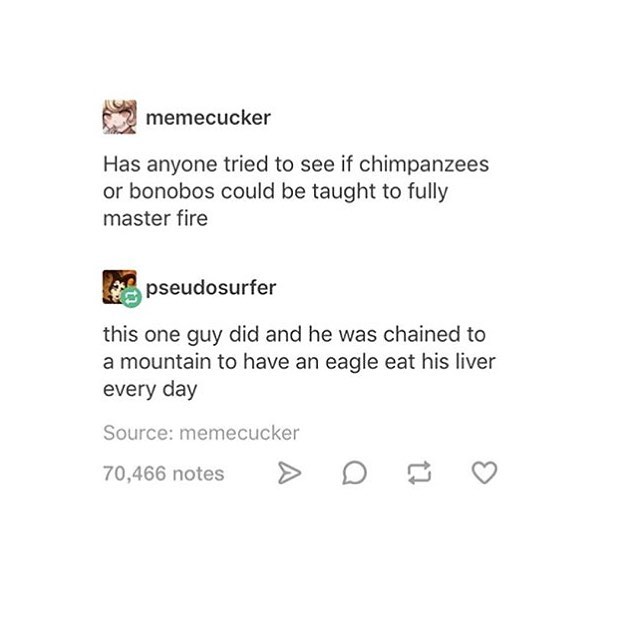 memes - document - memecucker Has anyone tried to see if chimpanzees or bonobos could be taught to fully master fire pseudosurfer this one guy did and he was chained to a mountain to have an eagle eat his liver every day Source memecucker 70,466 notes > D
