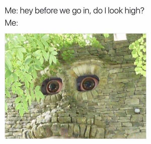 memes - forbidden corner - Me hey before we go in, do I look high? Me
