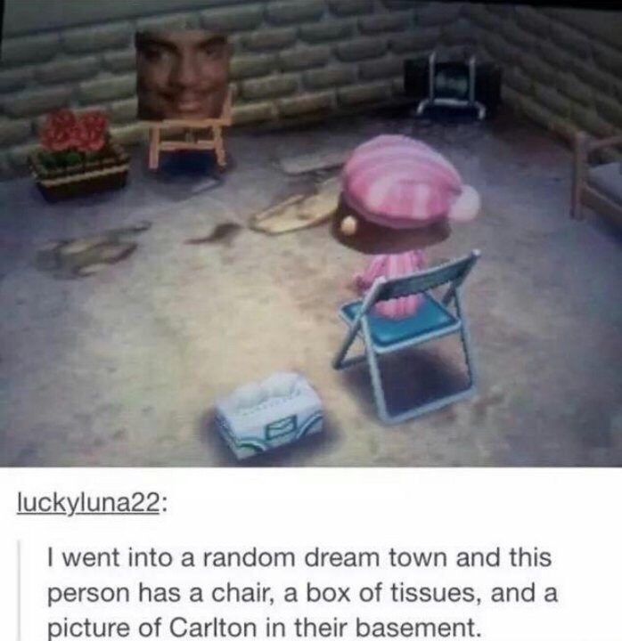 memes - Video game - luckyluna22 I went into a random dream town and this person has a chair, a box of tissues, and a picture of Carlton in their basement.