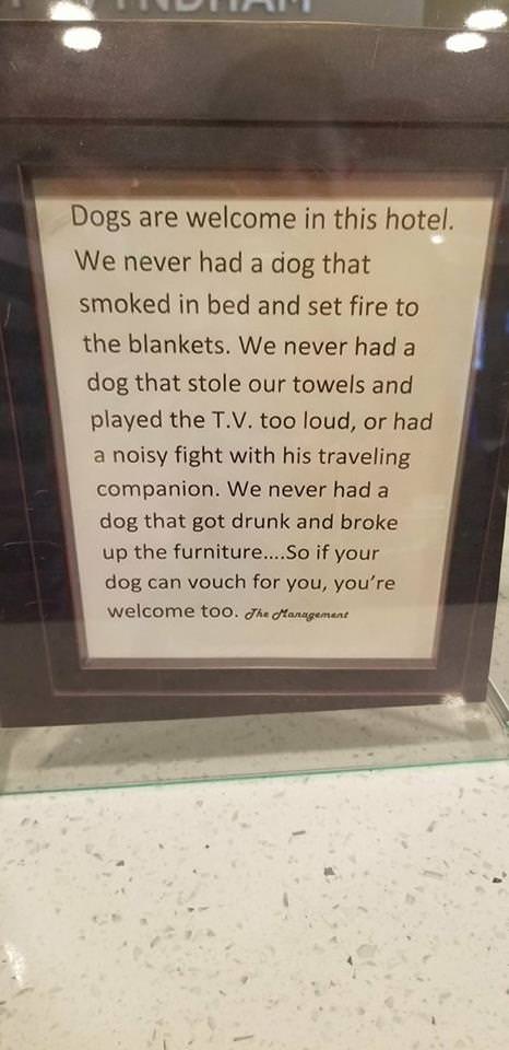 memes - memorial - Dogs are welcome in this hotel. We never had a dog that smoked in bed and set fire to the blankets. We never had a dog that stole our towels and played the T.V. too loud, or had a noisy fight with his traveling companion. We never had a
