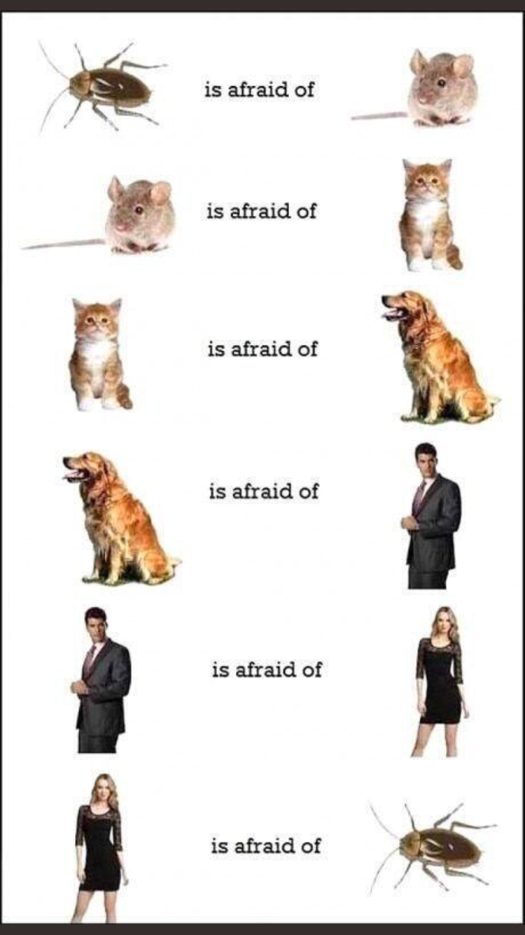 cycle of fear - is afraid of is afraid of is afraid of is afraid of is afraid of is afraid of