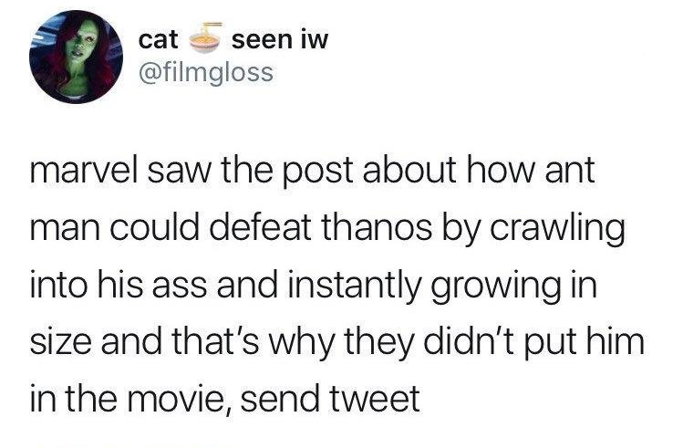 future boy meme - cat seen iw marvel saw the post about how ant man could defeat thanos by crawling into his ass and instantly growing in size and that's why they didn't put him in the movie, send tweet