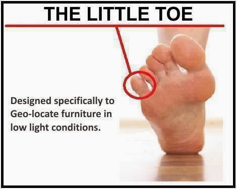 little toe purpose - The Little Toe Designed specifically to Geolocate furniture in low light conditions.